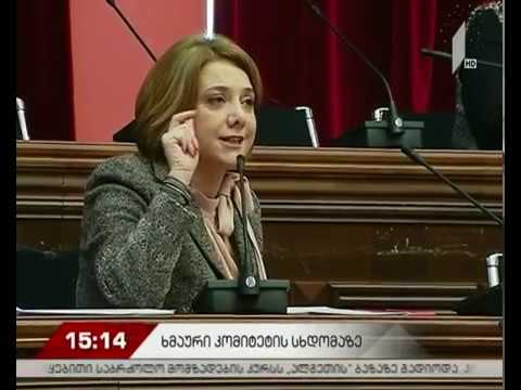 ხმაური იურიდიულ საკითხთა კომიტეტის სხდომაზე